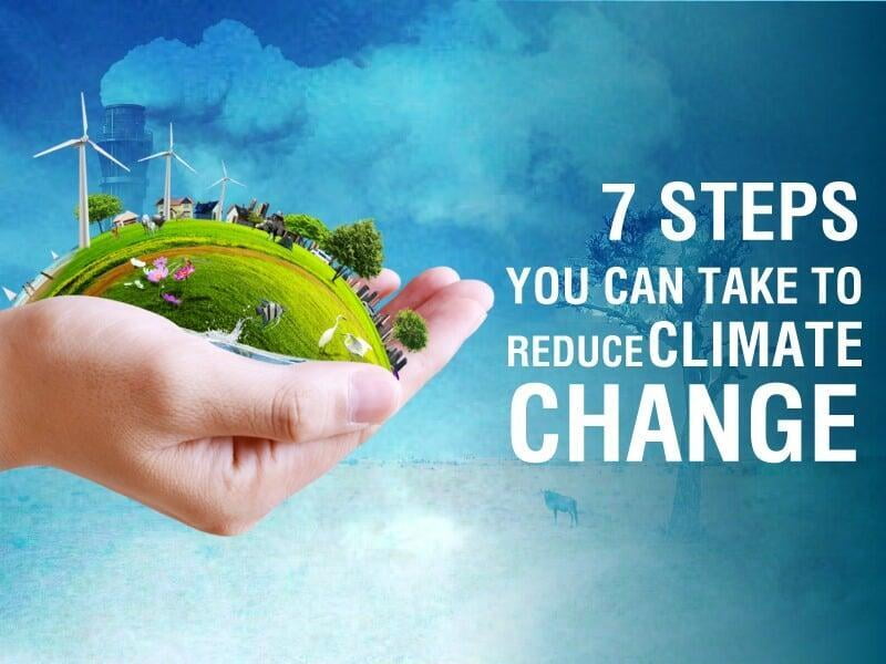 what can we do to reduce climate change essay